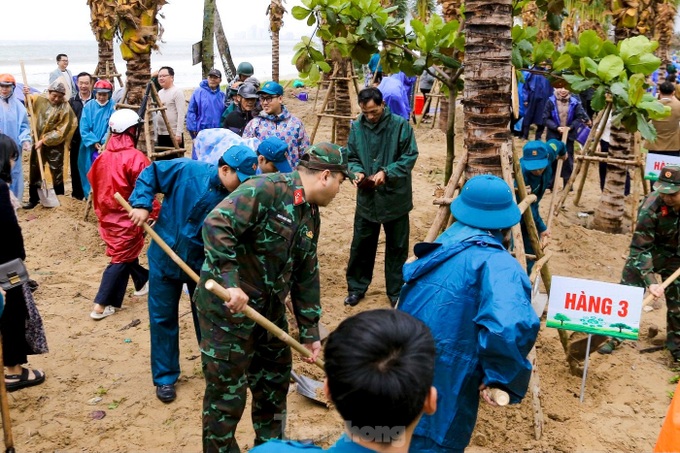 Hundreds of people plant trees on Danang’s coastal road - 4