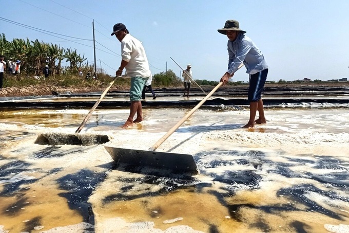 Bac Lieu to host salt festival in March - 1