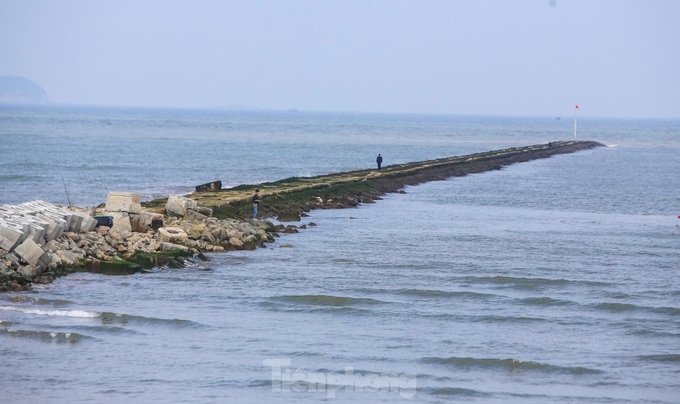 VND280 billion fishing port in Ha Tinh set to begin operations - 7