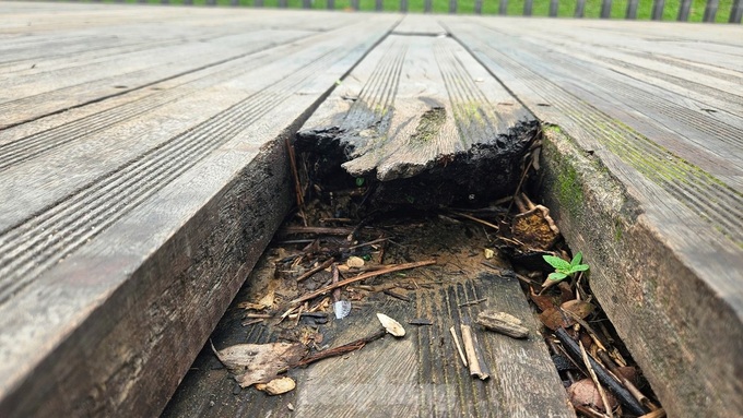 Wooden pedestrian bridge over Huong River deteriorates - 6