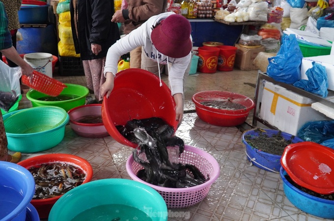 People rush to buy fish for First Full Moon Festival - 1