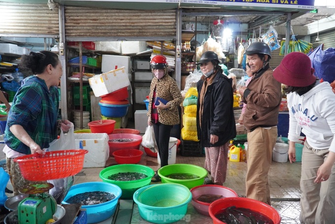 People rush to buy fish for First Full Moon Festival - 2