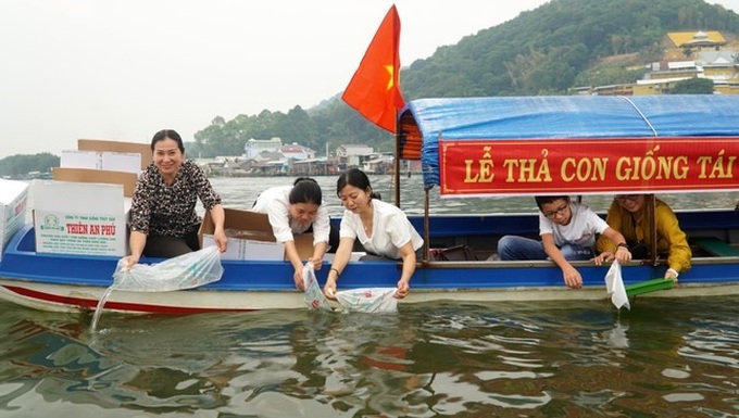 More than two million aquatic species released into Kien Giang lagoon - 1