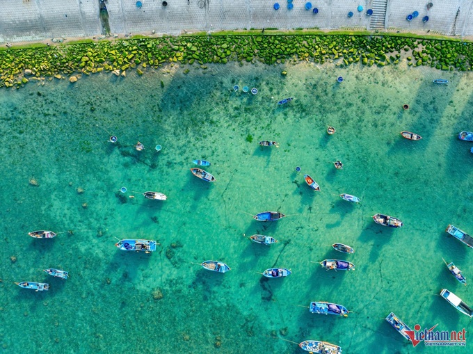 Quy Nhon's green moss-covered rocky shore proves popular - 2