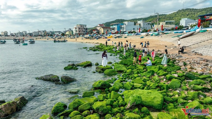 Quy Nhon's green moss-covered rocky shore proves popular - 1