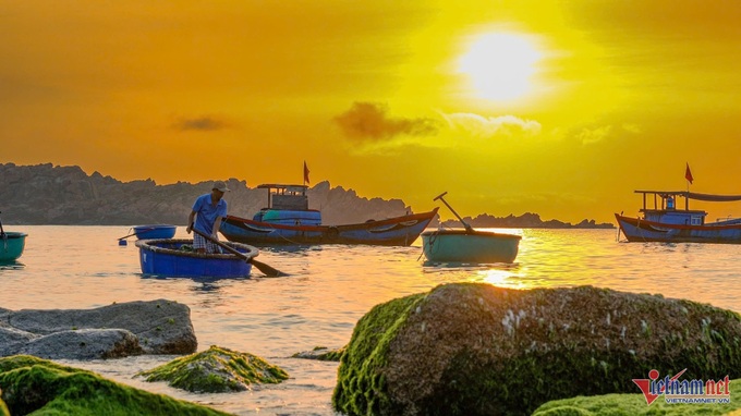 Quy Nhon's green moss-covered rocky shore proves popular - 5