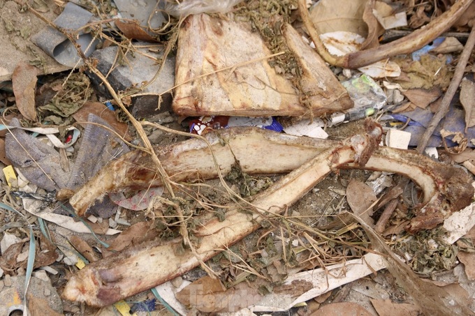 Hanoi road suffers illegal dumping - 4