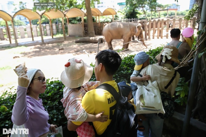 Saigon Zoo sees sharp fall in profit amid tax issues - 1