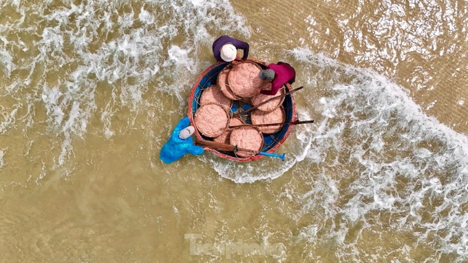 Quang Ngai fishermen enjoy good shrimp catch - 6