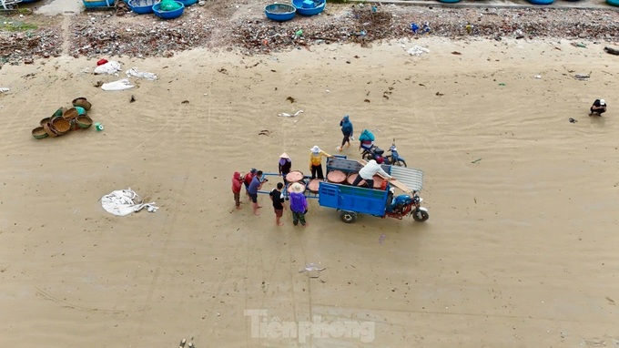 Quang Ngai fishermen enjoy good shrimp catch - 9