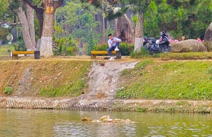 Iconic Da Lat lake affected by food vendors - 3