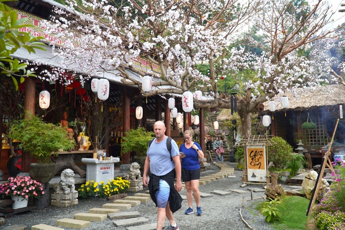 Pagoda on Danang mountain draws visitors - 9