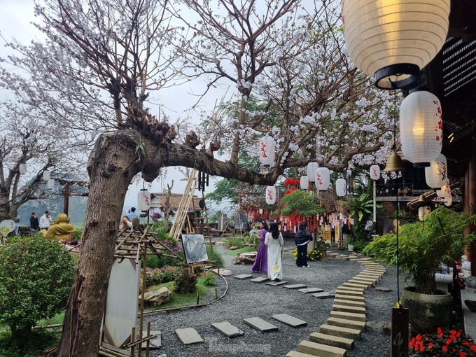 Pagoda on Danang mountain draws visitors - 2