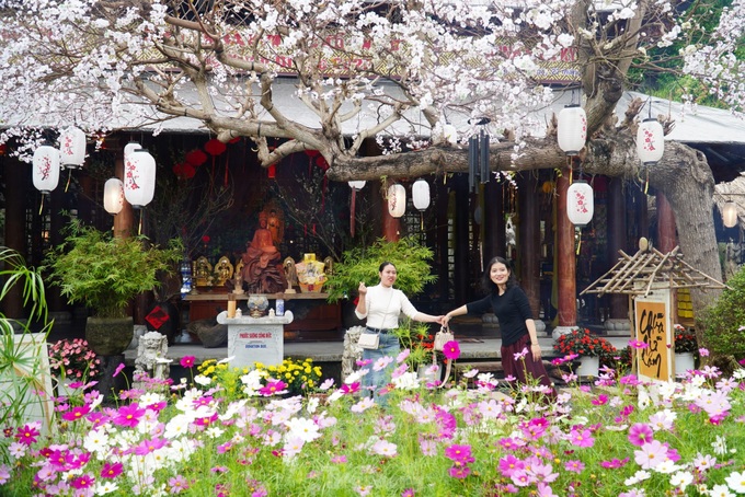 Pagoda on Danang mountain draws visitors - 5