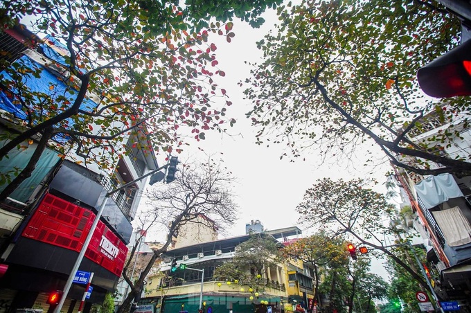 A dreamy Hanoi in drizzling rain and mist - 7