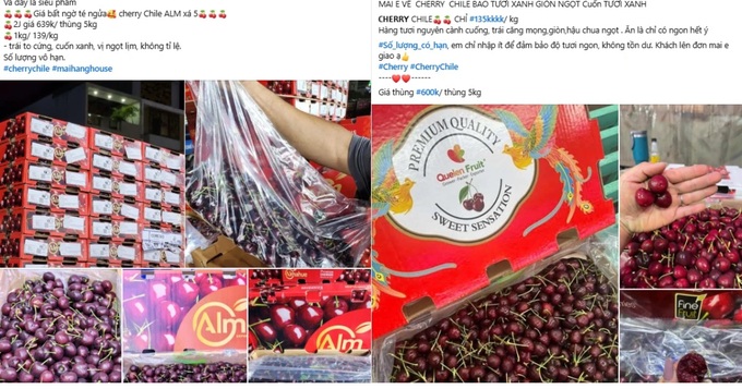 Chilean cherry prices plummet due to abundant supply - 1