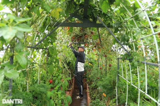 Hanoi family builds rooftop garden - 2