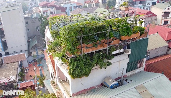 Hanoi family builds rooftop garden - 1