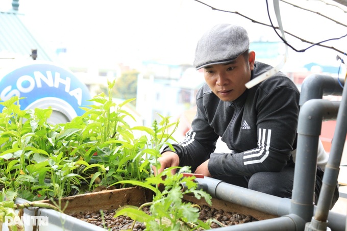 Hanoi family builds rooftop garden - 3