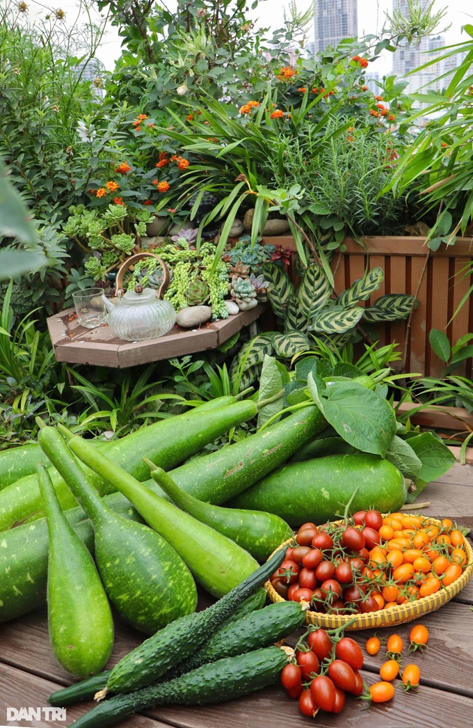 Hanoi family builds rooftop garden - 8