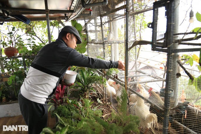 Hanoi family builds rooftop garden - 6