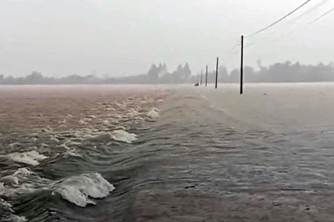 Rare flooding submerges crops in Phu Yen - 1