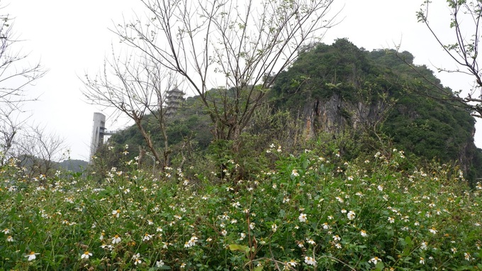 Danang park remains on paper for nearly two decades - 1