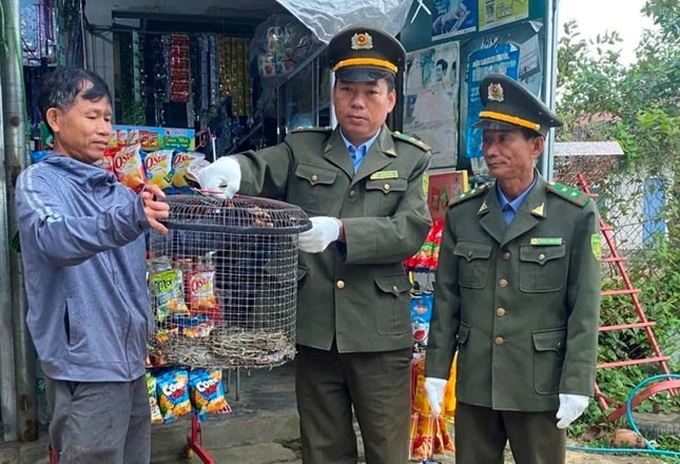 Hue resident hands over rare python - 1