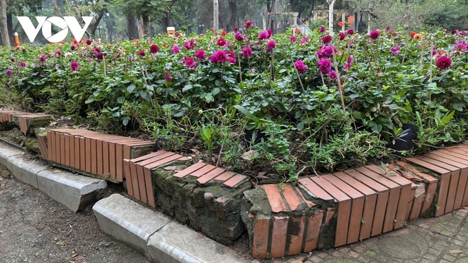 Hanoi Botanical Garden deteriorates due to delayed renovation - 6