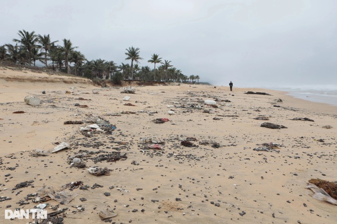 Beaches at Lang Co Bay severely polluted - 1