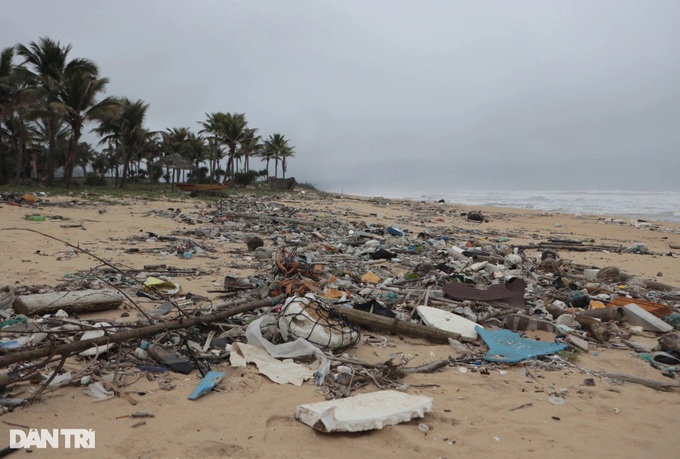 Beaches at Lang Co Bay severely polluted - 3