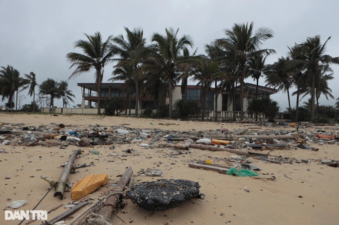 Beaches at Lang Co Bay severely polluted - 5