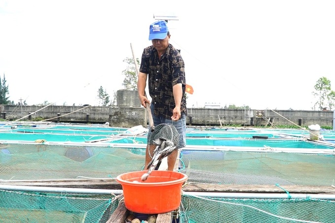 Mass fish die-off reported in Quang Nam river - 2