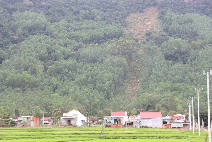 Binh Dinh to relocate 64 households living near Cam Mountain - 1