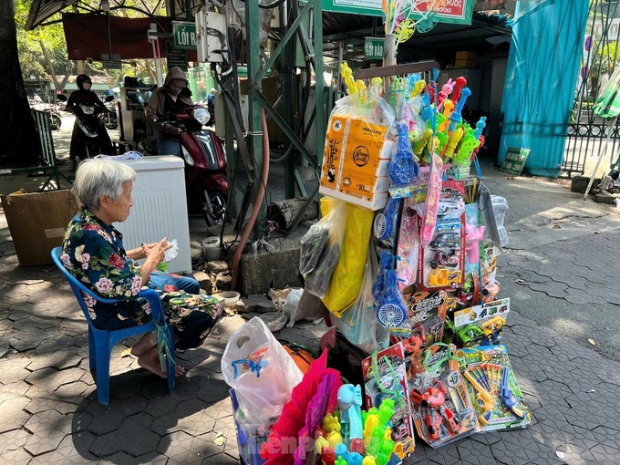 Elderly woman feeds stray cats in HCM City - 10