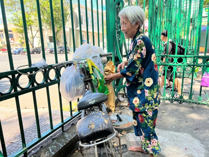 Elderly woman feeds stray cats in HCM City - 6