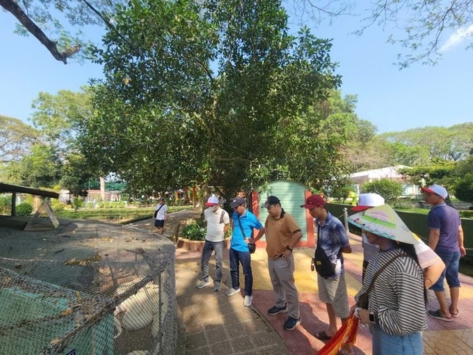 Soc Trang resident hands over rare 100kg albino python - 3 Soc Trang resident hands over rare 100kg albino python - 3