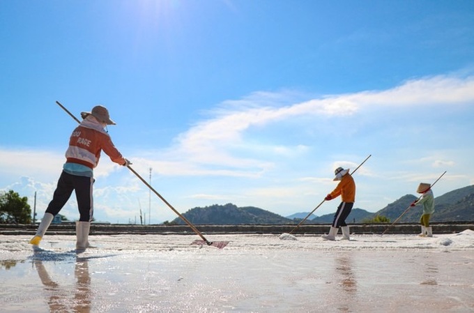 Ninh Thuan salt farmers busy on century-old salt fields - 2