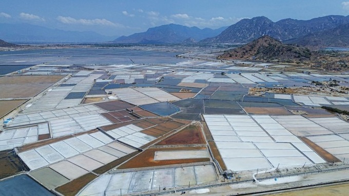 Ninh Thuan salt farmers busy on century-old salt fields - 1