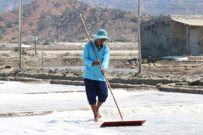 Ninh Thuan salt farmers busy on century-old salt fields - 3