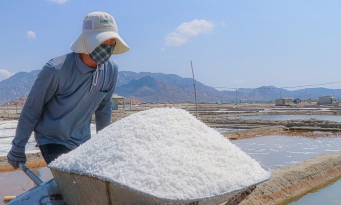 Ninh Thuan salt farmers busy on century-old salt fields - 4