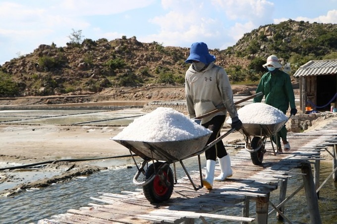 Ninh Thuan salt farmers busy on century-old salt fields - 5