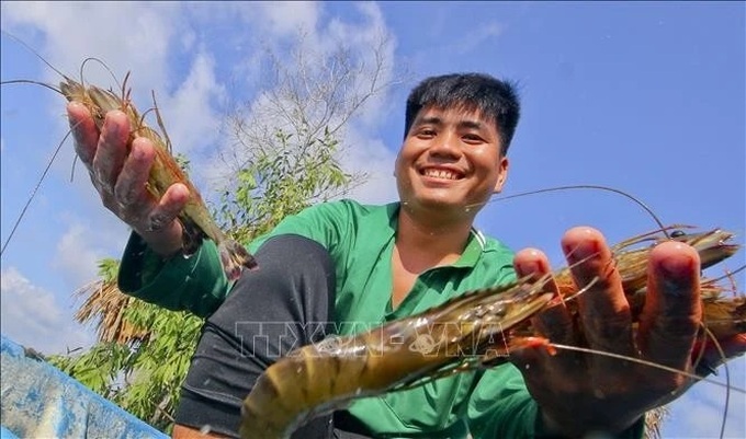 Shrimp industry advised to take actions to maintain growth momentum - 1