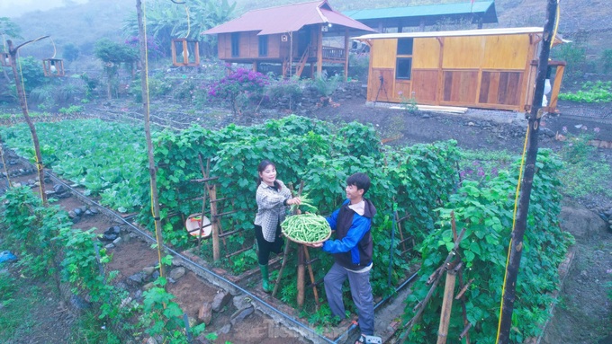 Picturesque farm brings billions in revenue to a young Muong entrepreneur - 9