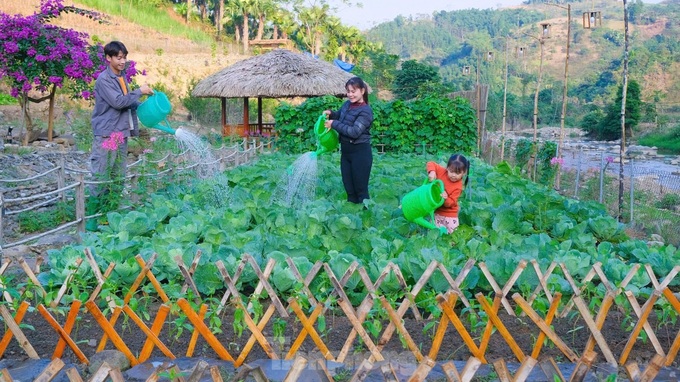 Picturesque farm brings billions in revenue to a young Muong entrepreneur - 3