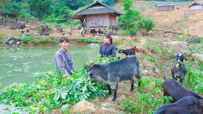 Picturesque farm brings billions in revenue to a young Muong entrepreneur - 8