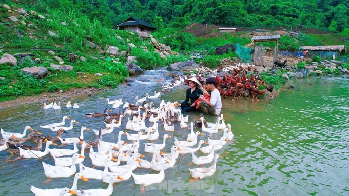 Picturesque farm brings billions in revenue to a young Muong entrepreneur - 5