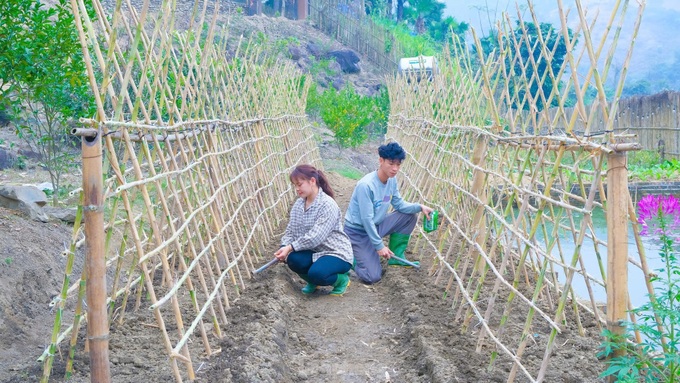 Picturesque farm brings billions in revenue to a young Muong entrepreneur - 12