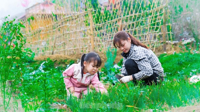 Picturesque farm brings billions in revenue to a young Muong entrepreneur - 14