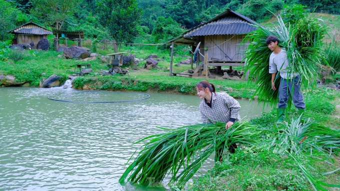 Picturesque farm brings billions in revenue to a young Muong entrepreneur - 15